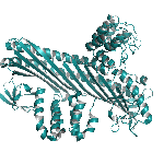 Recombinant human Myotrophin / MTPN protein