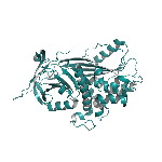Recombinant human PEDF/Serpin-F1 protein