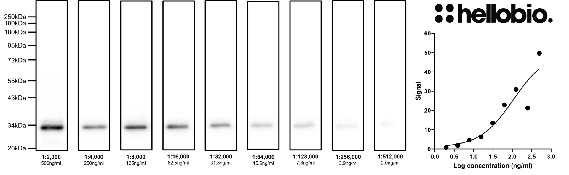 Figure 2. Concentration response of HB6381 staining in pEGFP-C2 transfected HEK293 cells. 