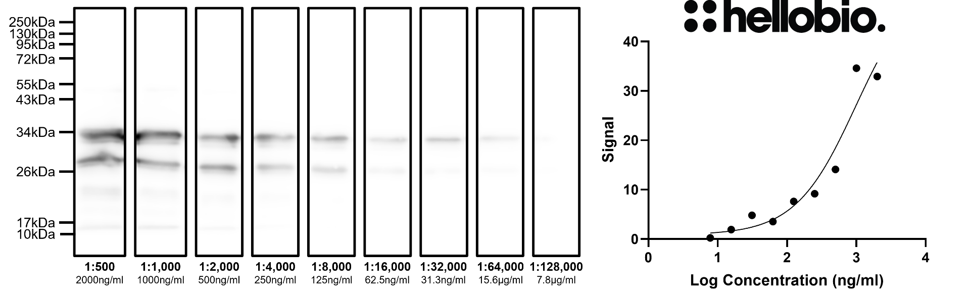 Figure 4. Concentration response of HB6512 staining in pmCherry-C3 transfected HEK293 cells. 