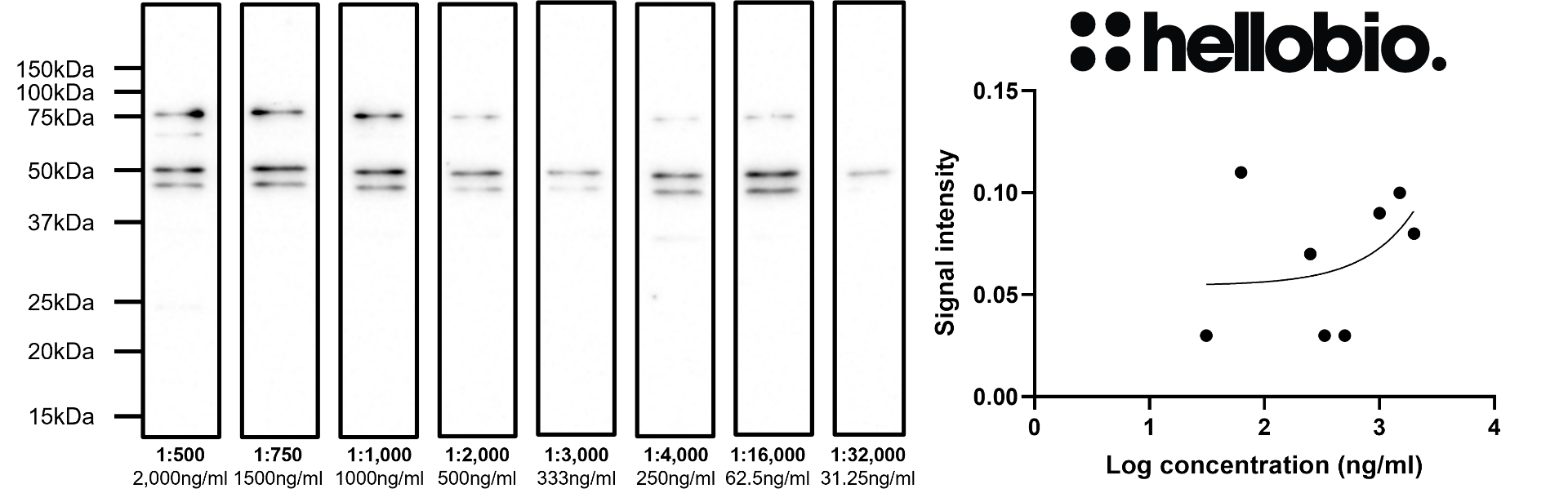 Figure 8. Concentration response of HB6429 staining in rat brain cytosol preparation.