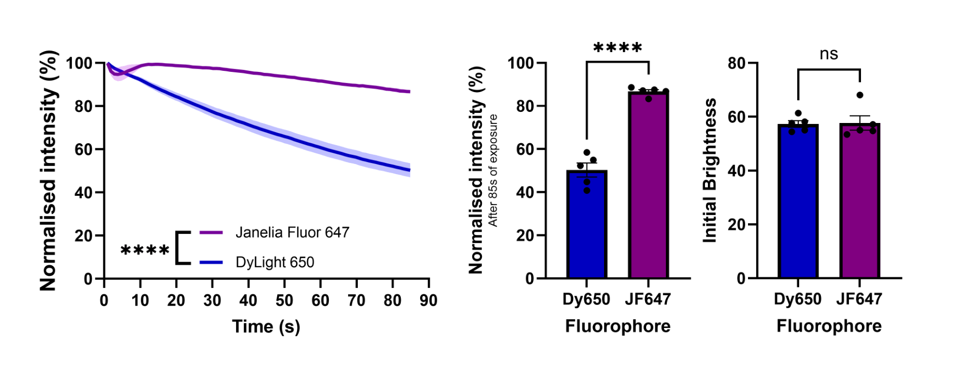 Figure 4. Janelia Fluor® 646 conjugated secondary antibodies show superior antifade performance with equivalent brightness compared to those conjugated with DyLight 650