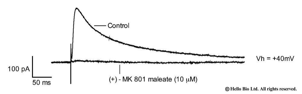 Figure 1. (+)-MK 801 inhibition of evoked NMDAR mediated EPSCs in mouse cortical neuron