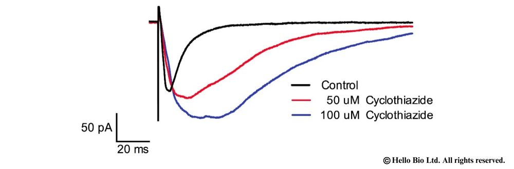 Figure 1. Cyclothiazide enhancement of evoked EPSCs in mouse cortical neuron