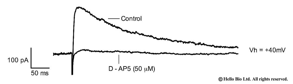 Figure 1. D-AP5 inhibition of evoked NMDAR mediated EPSCs in mouse cortical neuron