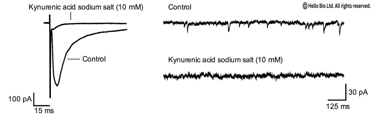 Inhibition of AMPA and NMDA mediated responses by kynurenic acid