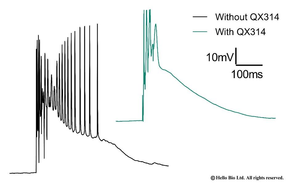 Figure 1. QX314 inhibition of action potentials in rat CA1 pyramidal neurones during dendritic plateau potentials