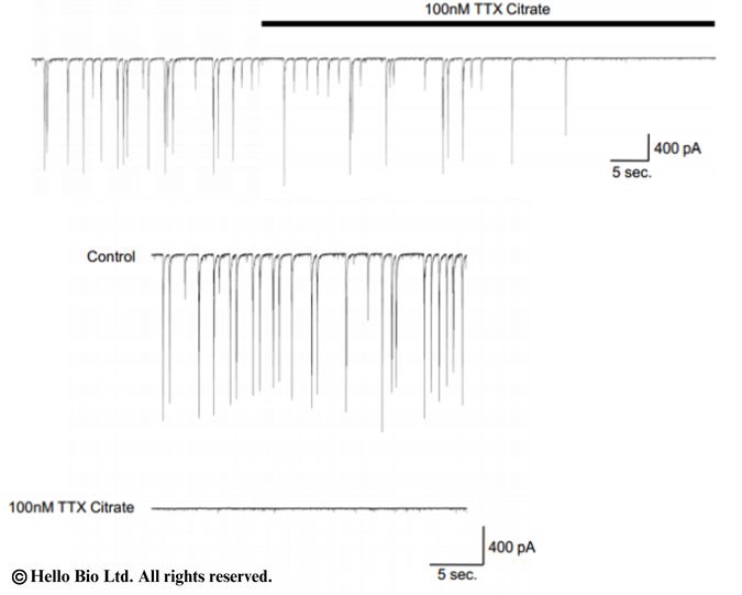 Figure 4. Whole-cell voltage clamp recordings made from primary cultured rat cortical neurons.