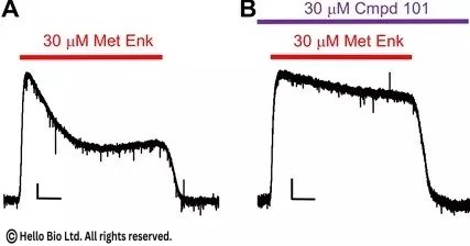 Inhibition of MOPr desensitization by Cmpd101