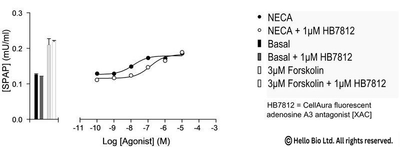 Figure 2. A2A-SPAP cells assayed against NECA and 1 µM HB7812 