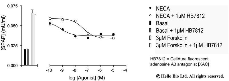 Figure 3. A1-SPAP cells assayed against NECA and 1 µM HB7812