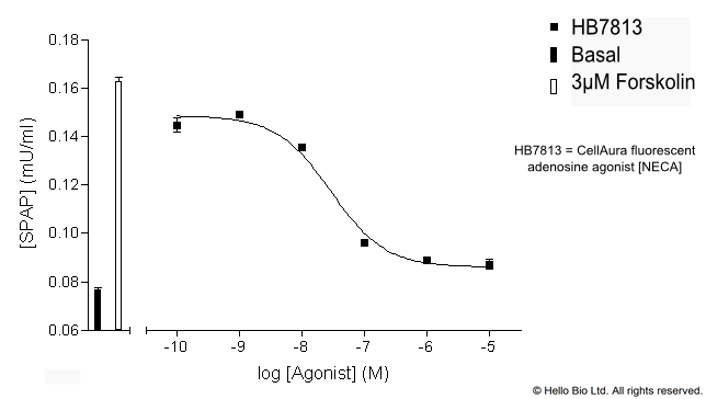 Figure 1. A3-SPAP cells assayed with HB7813