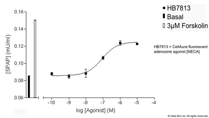 Figure 2. A2A-SPAP cells assayed with HB7813