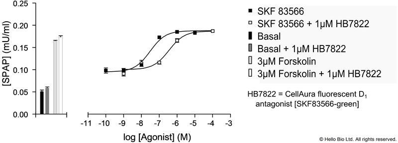 Figure 1. D1-SPAP cells assayed against SKF 83566 and 1 µM HB7822