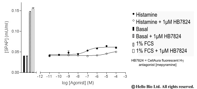 Figure 1. H1-SPAP cells assayed against histamine and 1 µM HB7824 