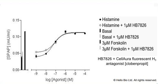 Figure 1. H2-SPAP cells assayed with HB7826