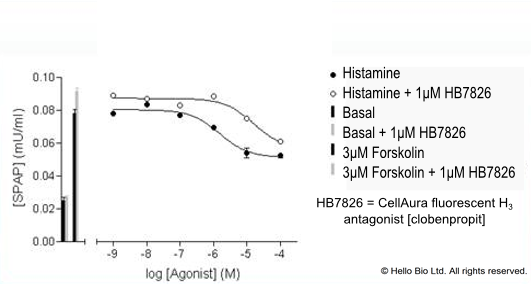 Figure 2. H3-SPAP cells assayed with HB7826 