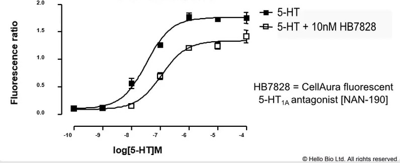 Figure 1. 5-HT1A cells assayed against 5-HT and HB7828 