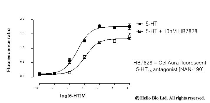 Fluorescence imaging with HB7828