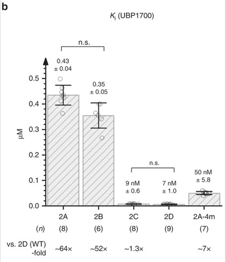 Figure 1. Ki values for UBP1700 at GluN2 subunits