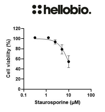Cytotoxicity test of Staurosporine on HEK293T cells