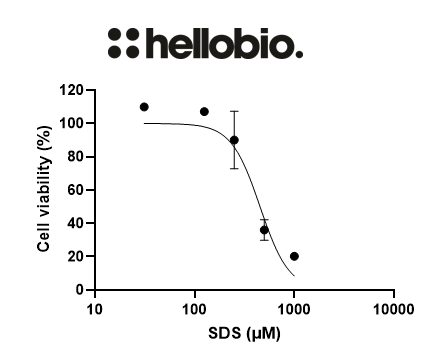 Cytotoxicity test of SDS on HEK293T cells