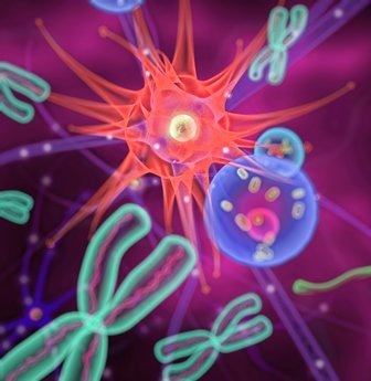 Hello Bio launches novel, potent selective GRK2/3 inhibitor Cmpd101