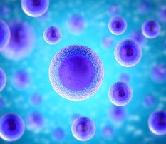 Neural Stem Cells & Small Molecules: Mini-review Neural Stem Cells & Small Molecules: Mini-review