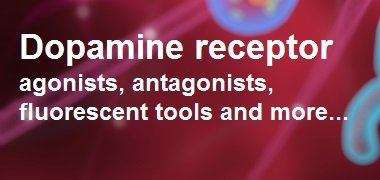 Browse our dopamine receptor research tools Dopamine receptor research tools