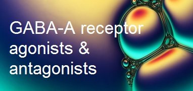 GABA-A receptor range GABA-A receptor range