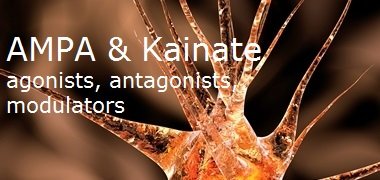 AMPA and kainate agonists, antagonists and modulators AMPA and kainate agonists, antagonists and modulators