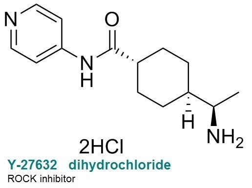 Y-27632 dihydrochloride Y-27632 dihydrochloride
