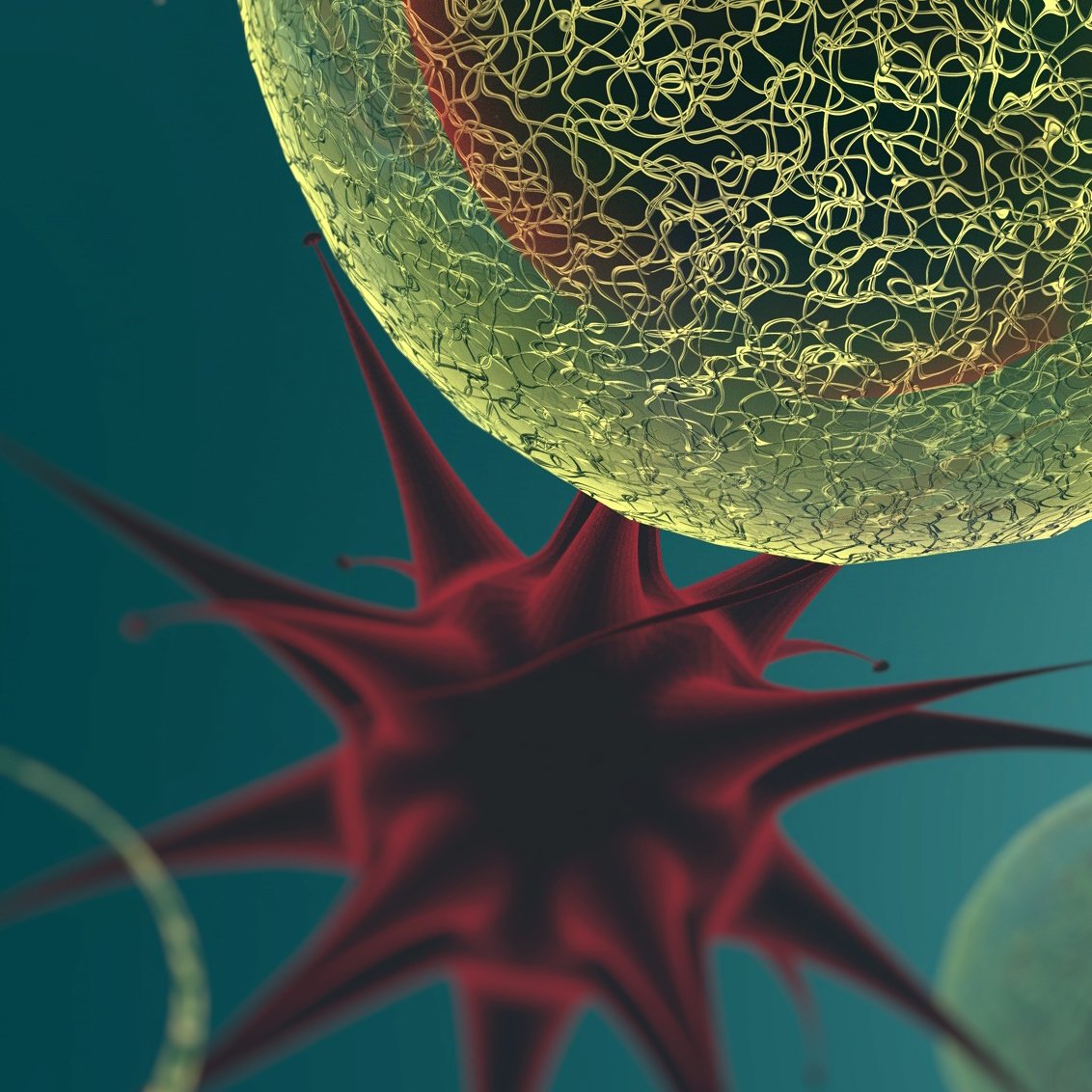 5-HT receptor research tools  5-HT research tools