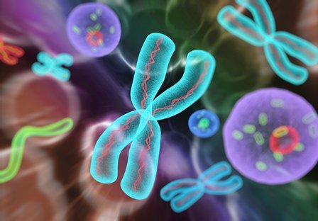 epigenetics research tools epigenetics research tools